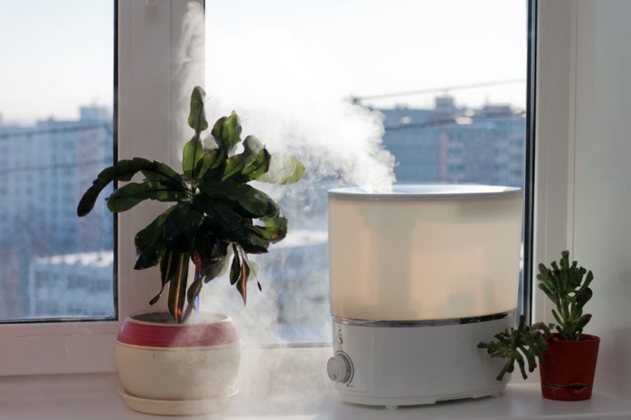 5 Ways to Improve Your Indoor Air Quality. Image of a small humidifier and plant on a white windowsill.